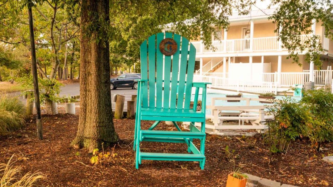 Canalside Inn شاطئ ريهوبوث المظهر الخارجي الصورة